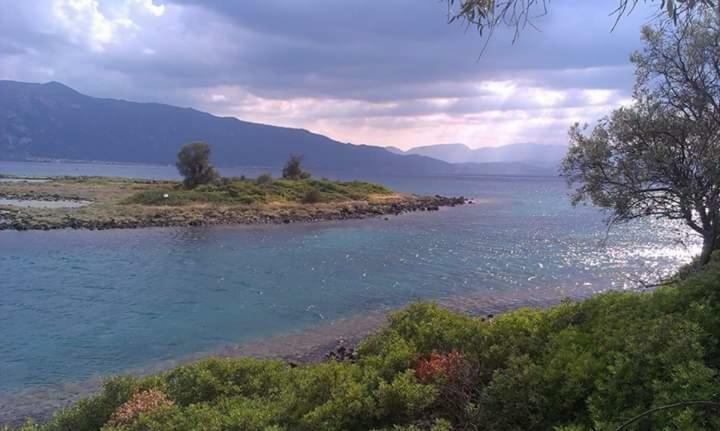 Nana Hotel Καμένα Βούρλα Εξωτερικό φωτογραφία